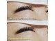 ベッロ(Bello)の写真