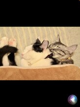 アルビジア(Albizia)&nbsp;米須 