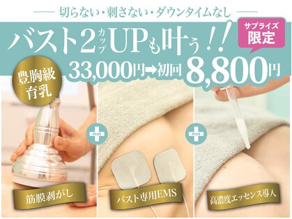美人バスト 渋谷店の写真