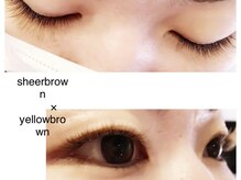 スターリィ スカイ(Starry☆Sky)/sheer brown×yellow brown