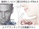 カラー(Calla)の写真