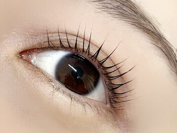 ビブル(ViVRE)/パリジェンヌラッシュリフト