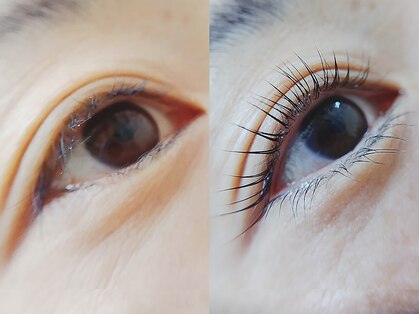 ルーム ノヘア(Room nohea)の写真