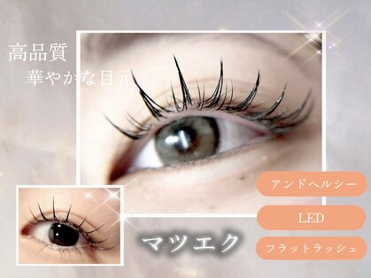 イオロ(iolo)の写真