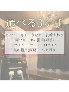 サロンドウルス(salon de ours)/レディース 選べる 2・3ヶ所 A