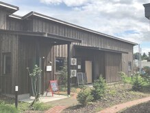 べセラ(BESERA)/2.【外観】