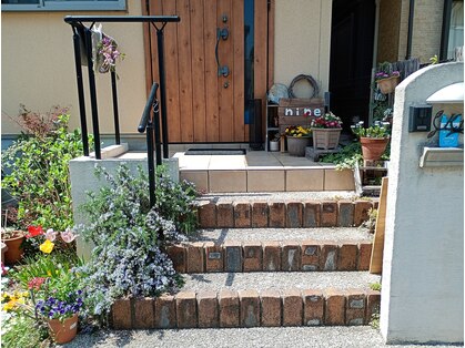 ナイン(nine)の写真