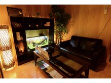 フェアリー(FAIRY)