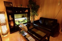 フェアリー(FAIRY)