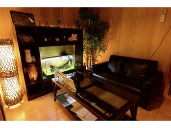 フェアリー(FAIRY)