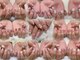 エヌ ネイルビューティ(N nail beauty)の写真