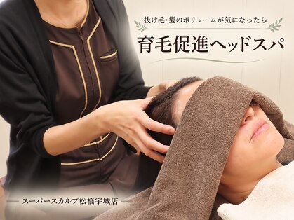 スーパースカルプ 熊本宇城店(SuperScalp)の写真