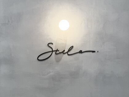 ステラ(Stella)の写真