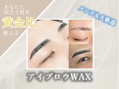 イオロ(iolo)の写真