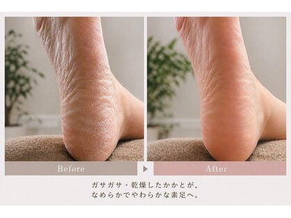 ノエ(Noe’)の写真