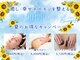 アジェテ 八王子店(Agete)の写真/【冷え対策に！】微睡ドライヘッドスパ＋腸セラピー￥9,680！ホルモンバランスの調整、免疫力UPにも◎