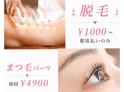 シュシュ(Chouchou)の写真