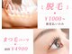 シュシュ(Chouchou)の写真