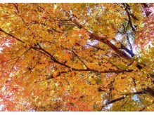 リラクゼーション整体 りめいくの雰囲気(「横向きの施術」首~肩甲骨~腰を念入りにほぐします。)