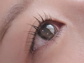 ナゴミアイラッシュ(nagomi eyelash)
