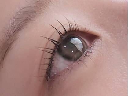 ナゴミアイラッシュ(nagomi eyelash)の写真