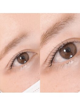 レ プリューム(les plumes)/パリジェンヌラッシュリフト