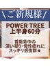 【パワーツリー上半身60分】ツリー初心者様！必見☆通常¥9900→¥6600