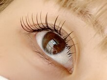 グレイス(grace)/フラットラッシュ120本