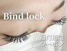 【6/25限定☆】バインドロック80束＋アイシャンプー付き♪