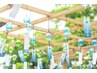 【お盆企画】　8月15～25日限定　水素吸入６０分／３,０００円
