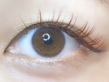 ローラント(LAURENT)/カラーマツエク160本