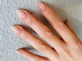 自爪風ネイル
