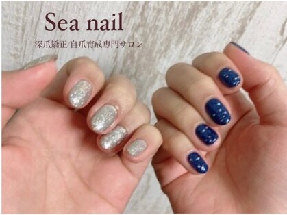 シーネイル(Sea nail)の写真