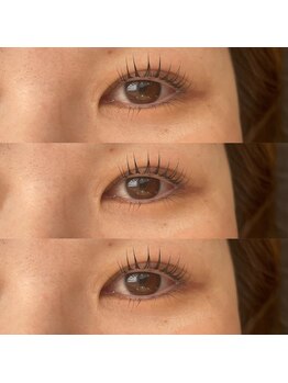 バンクィッシュ(vanquish)/カールデザイン/ラッシュリフト