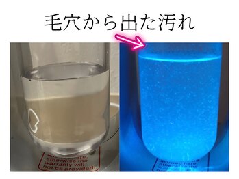 エヴァビーナス(EvaVenus)/
