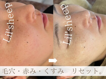 リルシープ(LIL'SHEEP)の写真