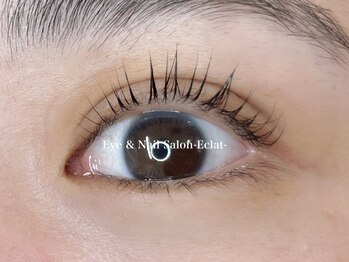 エムエスエー エクラ(MSA Eclat)/ナチュラル仕上げ