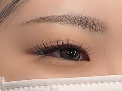 彩琶の写真