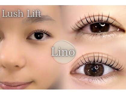 リノ(Lino)の写真