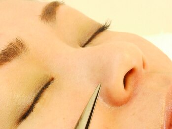 フィールアーズ(feel ars)/小鼻脱毛◎1本1本処理☆美容電気