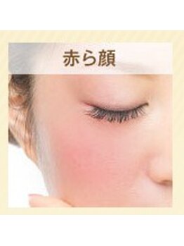 サルビア(Salvia)/赤ら顔