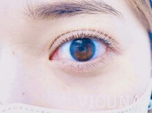 ヴィクーニャ(VICUNA)