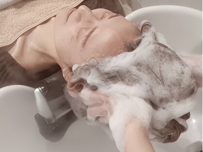 ココロ(kokoro)の写真