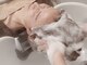ココロ(kokoro)の写真