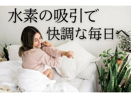 善(ZEN)の写真