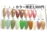 カラー限定→3,900円