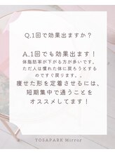 ヨサパーク ミラー(YOSAPARK Mirror)/Q＆Aよくあるご質問【7/10】