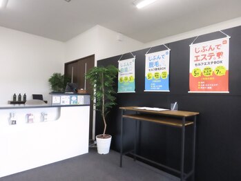 パルモ(palmo)の写真/【美容の常識が変わる！】複合セルフサロン上陸！エステ/脱毛/ホワイトニング/ネイルが時間内でやり放題☆