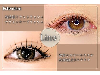 リノ(Lino)の写真