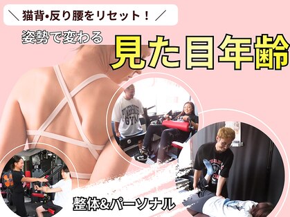 パワーハウスジム札幌ジャパンの写真